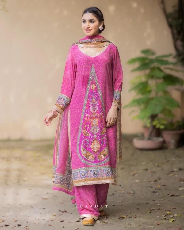 Premium Printed Punjabi Salwar Suit